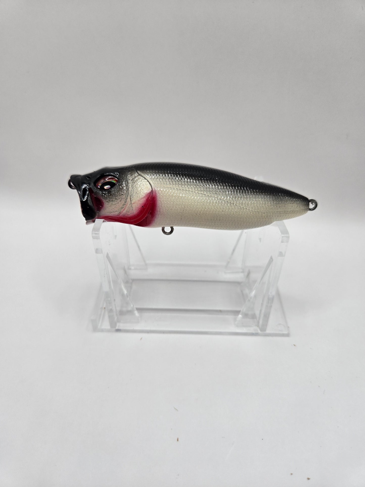 Topwater Popper - Bloody Bone